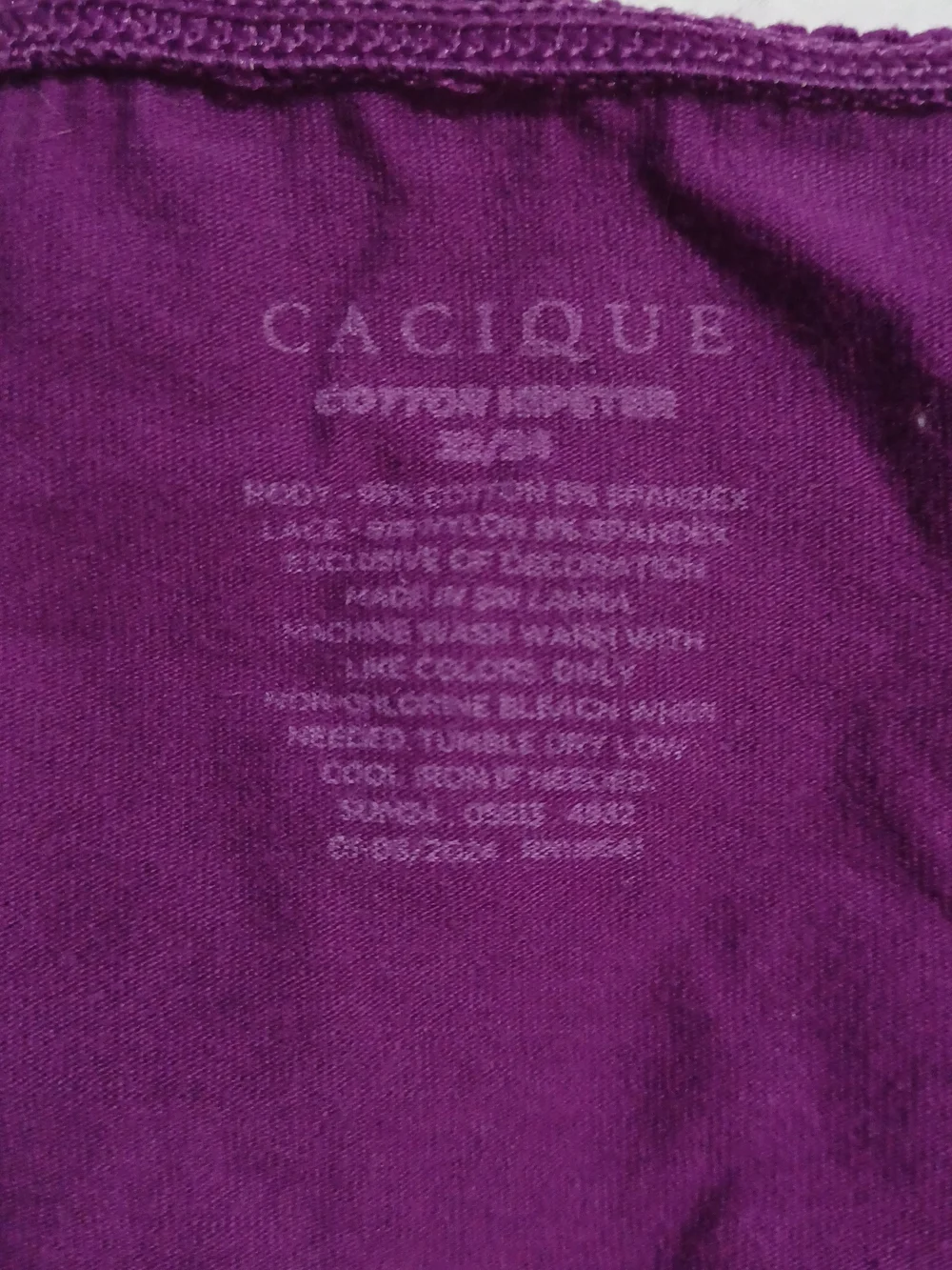 Cacique Purple Lace-Trim Bikini Panty